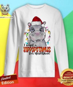 Original I Want A Hippopotamus For Christmas Sweatshirt