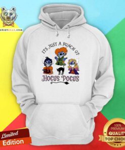 Premium Stitch It's Just A Bunch Of Hocus Pocus Halloween 2024 Hoodie