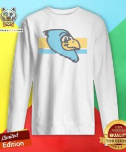 Top Ft Wright Falcons Profile Sweatshirt