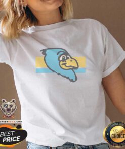 Top Ft Wright Falcons Profile V-neck