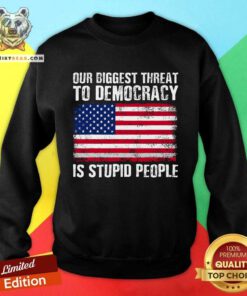 Top Our Biggest Threat To Democracy Is Stupid People Election Sweatshirt