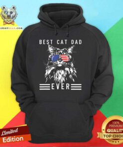 Awesome Maine Coon Cat Best Cat Dad Ever Funny Cat Maine Coon Hoodie