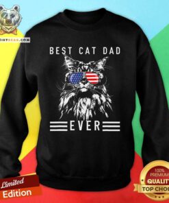 Awesome Maine Coon Cat Best Cat Dad Ever Funny Cat Maine Coon Sweatshirt