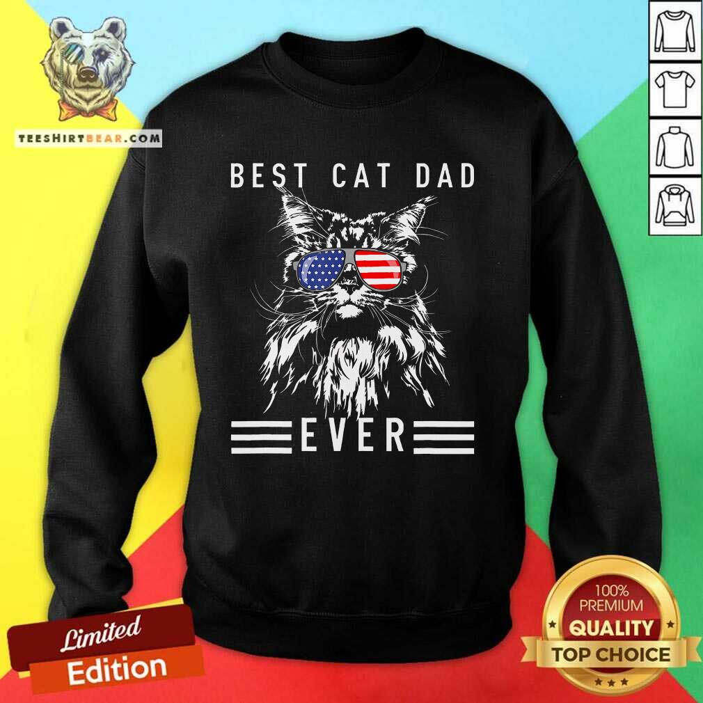Awesome Maine Coon Cat Best Cat Dad Ever Funny Cat Maine Coon Sweatshirt