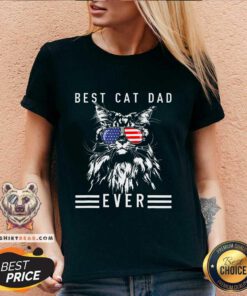 Awesome Maine Coon Cat Best Cat Dad Ever Funny Cat Maine Coon V-neck