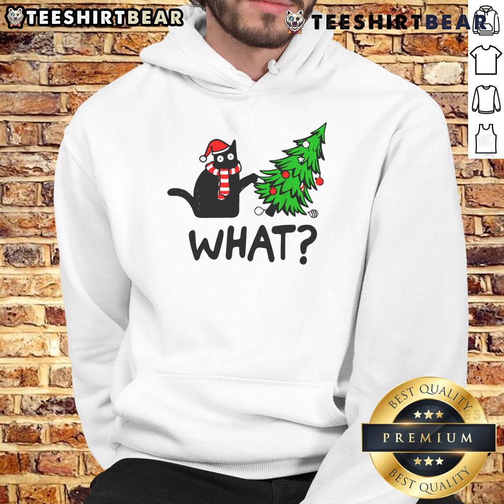 Cute cat wearing a Christmas hoodie, showcasing festive spirit and adorable charm for holiday celebrations.