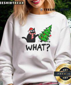 Cute cat wearing a festive Christmas sweatshirt, perfect for holiday celebrations and cat lovers.