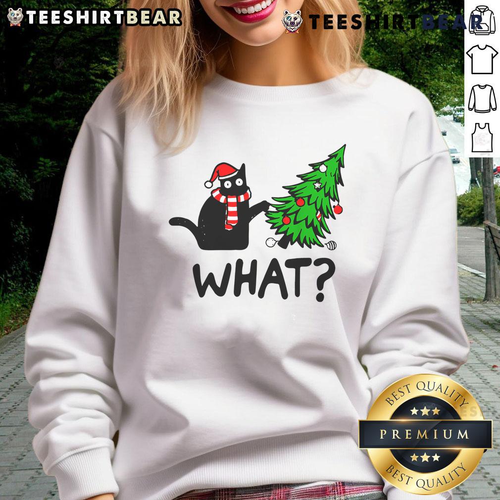 Cute cat wearing a festive Christmas sweatshirt, perfect for holiday celebrations and cat lovers.