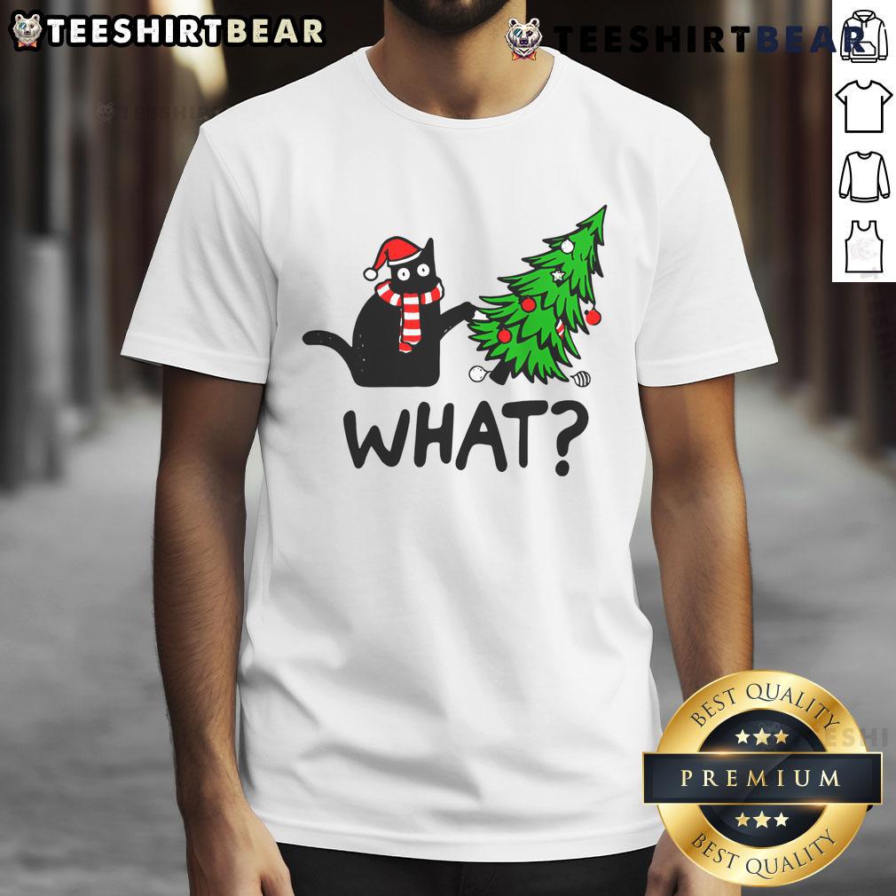 Cute cat wearing a festive Christmas T-shirt, showcasing holiday spirit and playful design perfect for cat lovers.