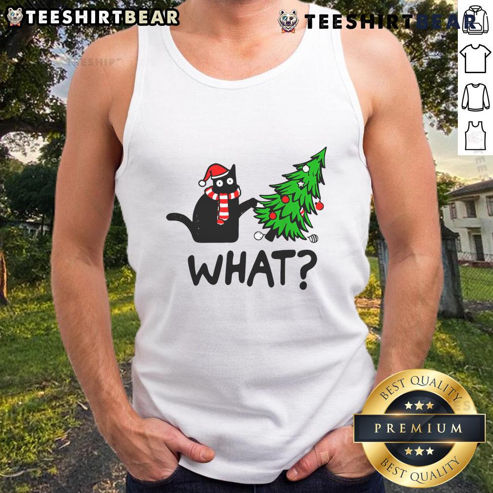 Adorable cat in a festive Christmas tank top, perfect for holiday celebrations and cat lovers' seasonal style.