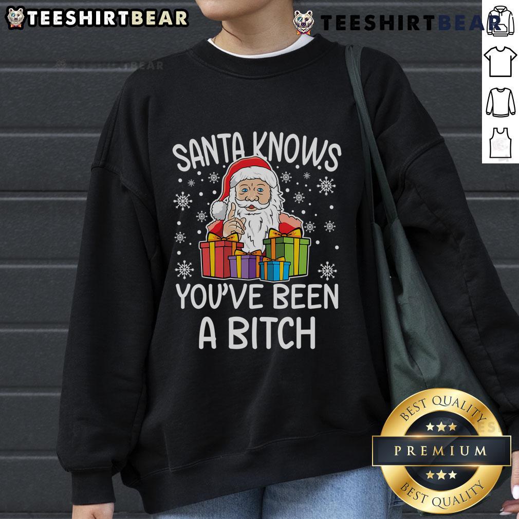 Funny Santa Claus Christmas sweatshirt featuring a humorous 'You've Been a Bitch' design for festive fun.