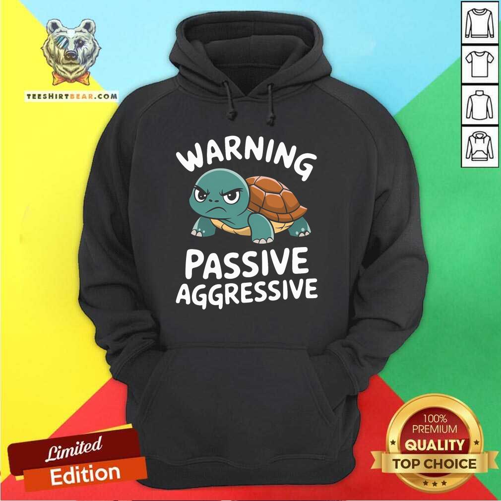 Funny Warning Passive Aggressive Turtle Humor Hoodie