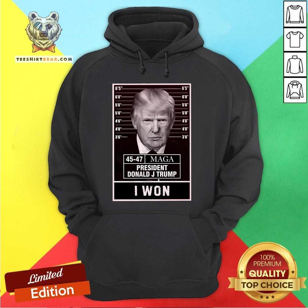 Good Donald Trump Won Election Inauguration Maga Hoodie