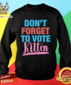 Good Don't Forget To Vote Kitten Sweatshirt