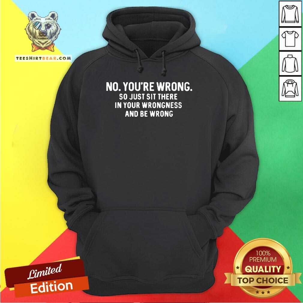 Hot No You're Wrong So Just Sit There In Your Wrongness And Be Wrong Hoodie