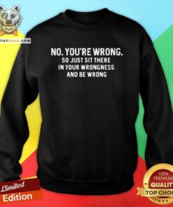 Hot No You're Wrong So Just Sit There In Your Wrongness And Be Wrong Sweatshirt