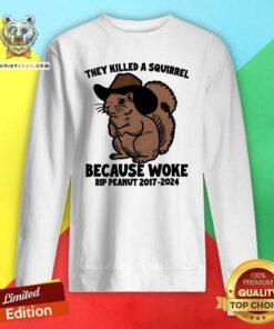 Hot They Killed A Squirrel Because Woke Rip Peanut 2017-2024 Sweatshirt