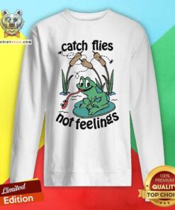 Nice Cute Catch Flies Not Feelings Frogs Sweatshirt