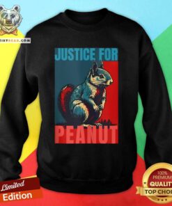 Premium Peanut Squirrel Justice For Peanut Squirrel Sweatshirt