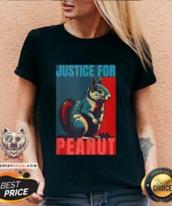 Premium Peanut Squirrel Justice For Peanut Squirrel V-neck
