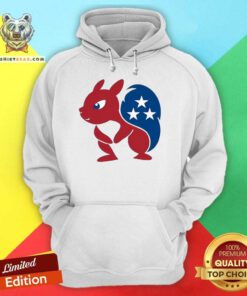 Premium Peanut The Squirrel Mascot Of The Gop Justice For Peanut 2024 Hoodie