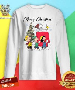 Top Snoopy And Friends Merry Christmas Sweatshirt