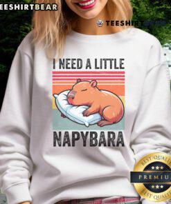 Alt Text: Cute capybara sleeping in a cozy sweatshirt, perfect for nap lovers and capybara enthusiasts.