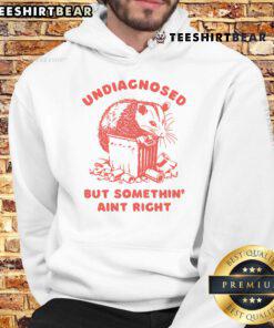 Funny undiagnosed but something ain't right raccoon hoodie design featuring a quirky raccoon graphic.
