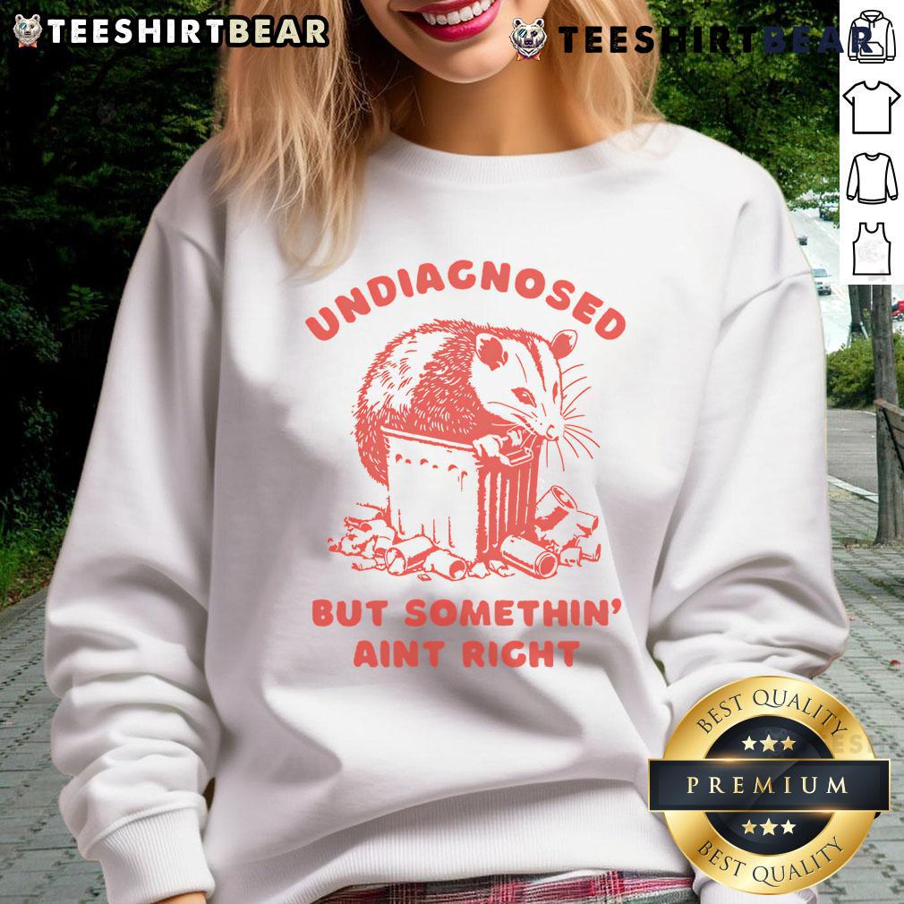 Alt Text: Funny undiagnosed but something ain't right raccoon sweatshirt featuring a quirky raccoon design, perfect for cozy wear.