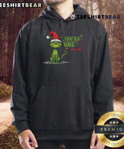 Adorable cat in a Christmas outfit with 'Meowy Christmas' hoodie, perfect for festive celebrations. Nice You're a Meow One!