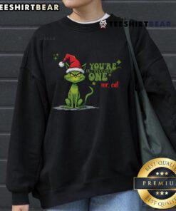 Cat in a festive Christmas outfit wearing a 'Meowy Christmas' sweatshirt, perfect for holiday celebrations.