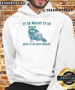 Raccoon hoodie featuring the phrase 'It Is What It Is And It Is Not Great Mental Health' in vibrant colors.