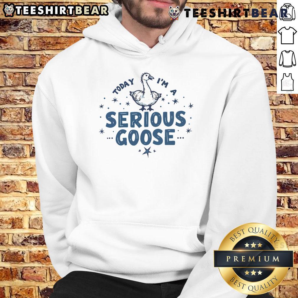 Funny Today I'm a Serious Goose hoodie featuring a playful jester goose design, perfect for humor lovers and casual wear.