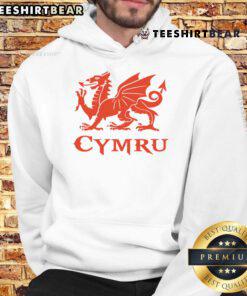 Alt Text: Stylish Nice Cymru Wales Cardiff dragon hoodie featuring vibrant design, perfect for Welsh pride and casual wear.