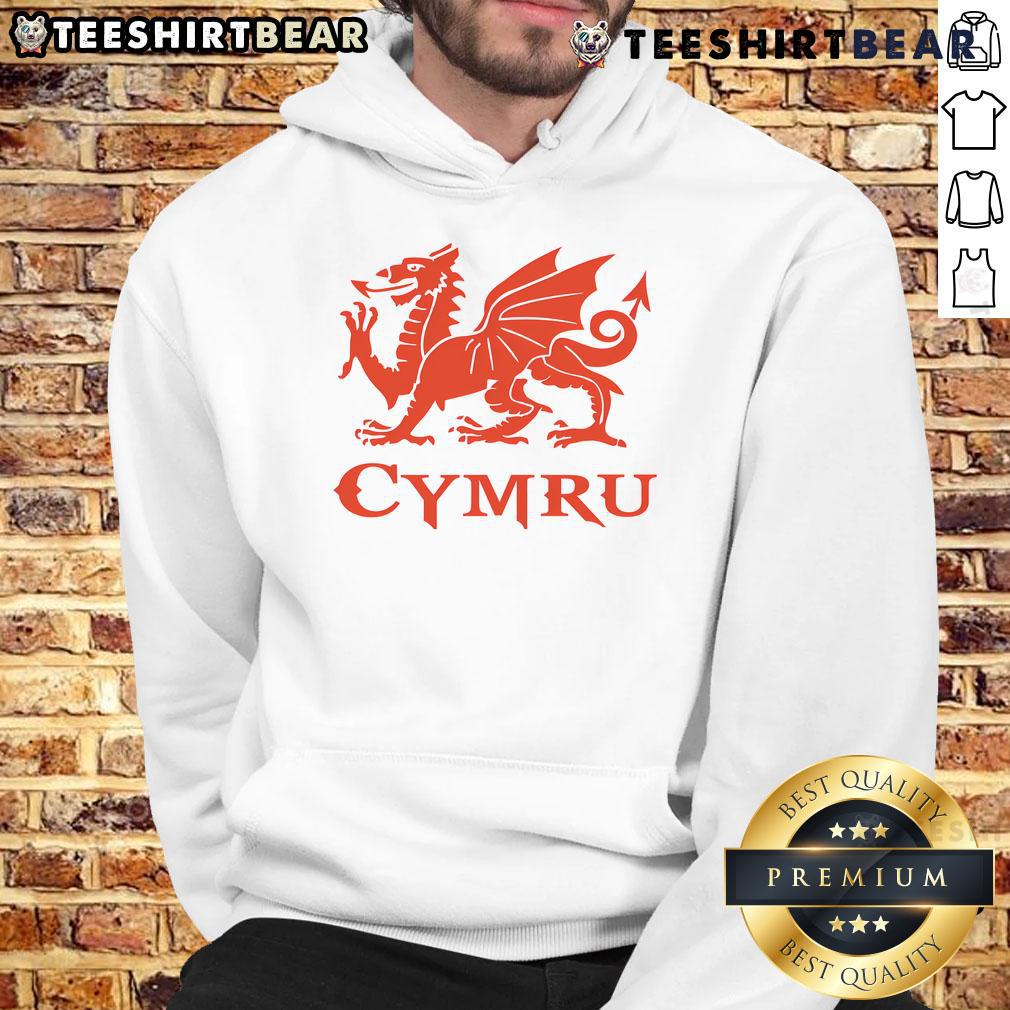 Alt Text: Stylish Nice Cymru Wales Cardiff dragon hoodie featuring vibrant design, perfect for Welsh pride and casual wear.