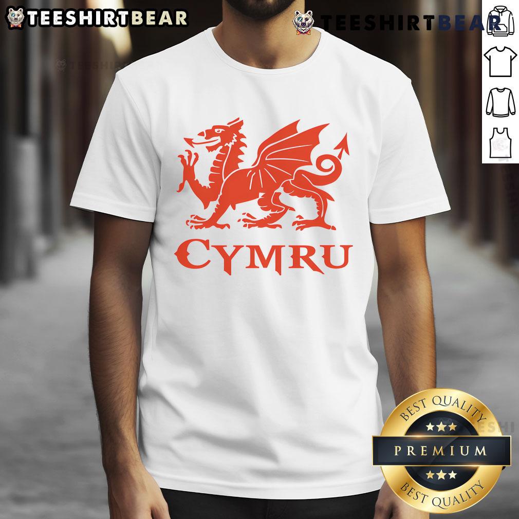 Alt Text: Nice Cymru Wales Welsh Cardiff Dragon T-Shirt featuring a vibrant dragon design, perfect for proud Welsh fans.