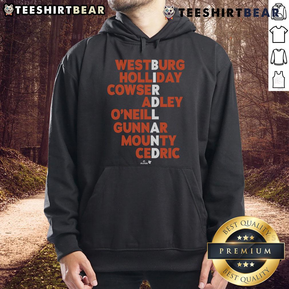 Official Birdland Baseball MLB Names 2025 Hoodie featuring team colors and logo, perfect for fans and collectors.