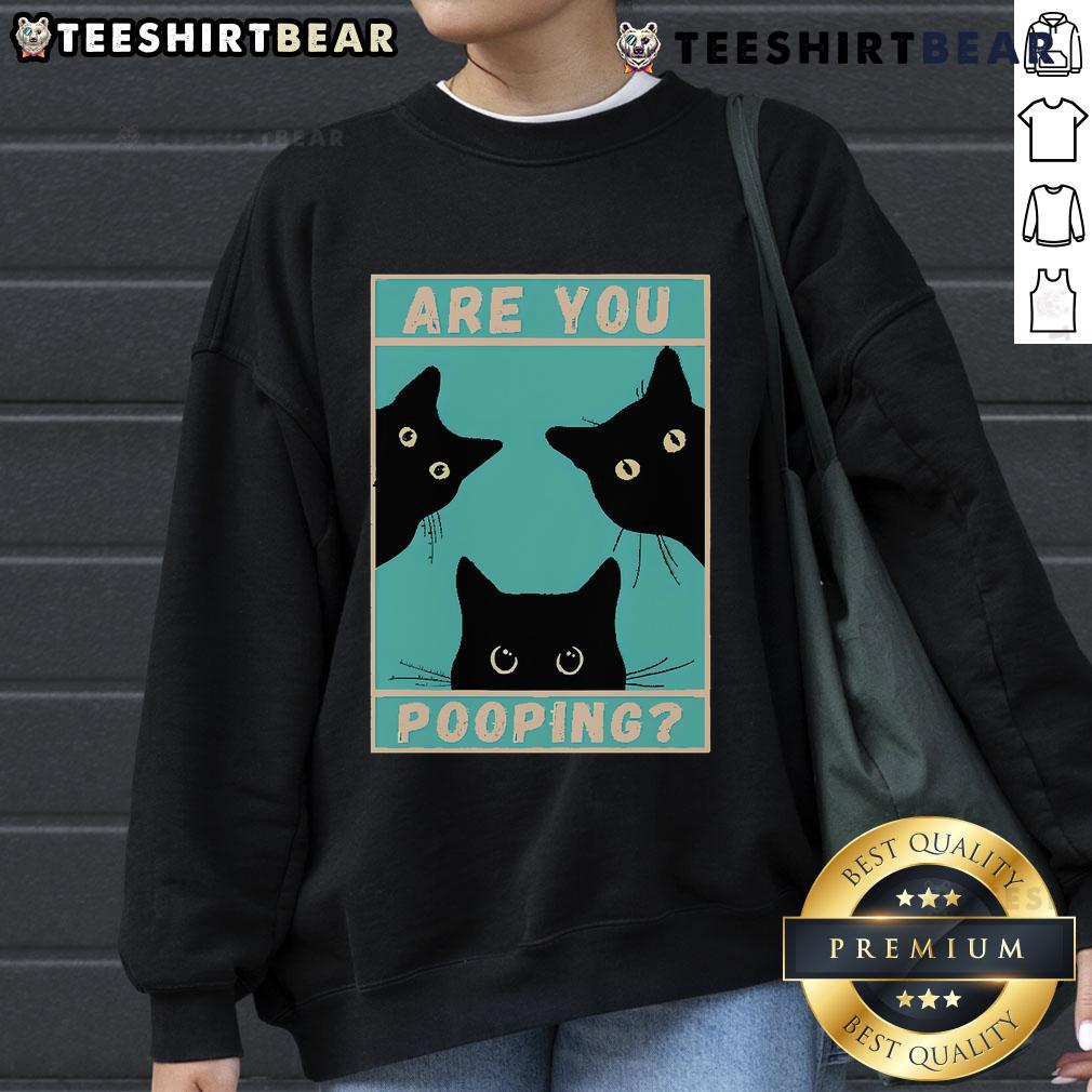 Alt Text: Funny cat sweatshirt featuring a playful design with the phrase Are You Pooping? perfect for cat lovers.