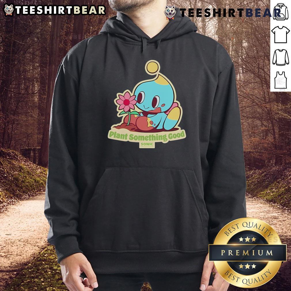 Premium Sonic hoodie featuring Hedgehog design for Earth Day, showcasing eco-friendly style and Chao characters.