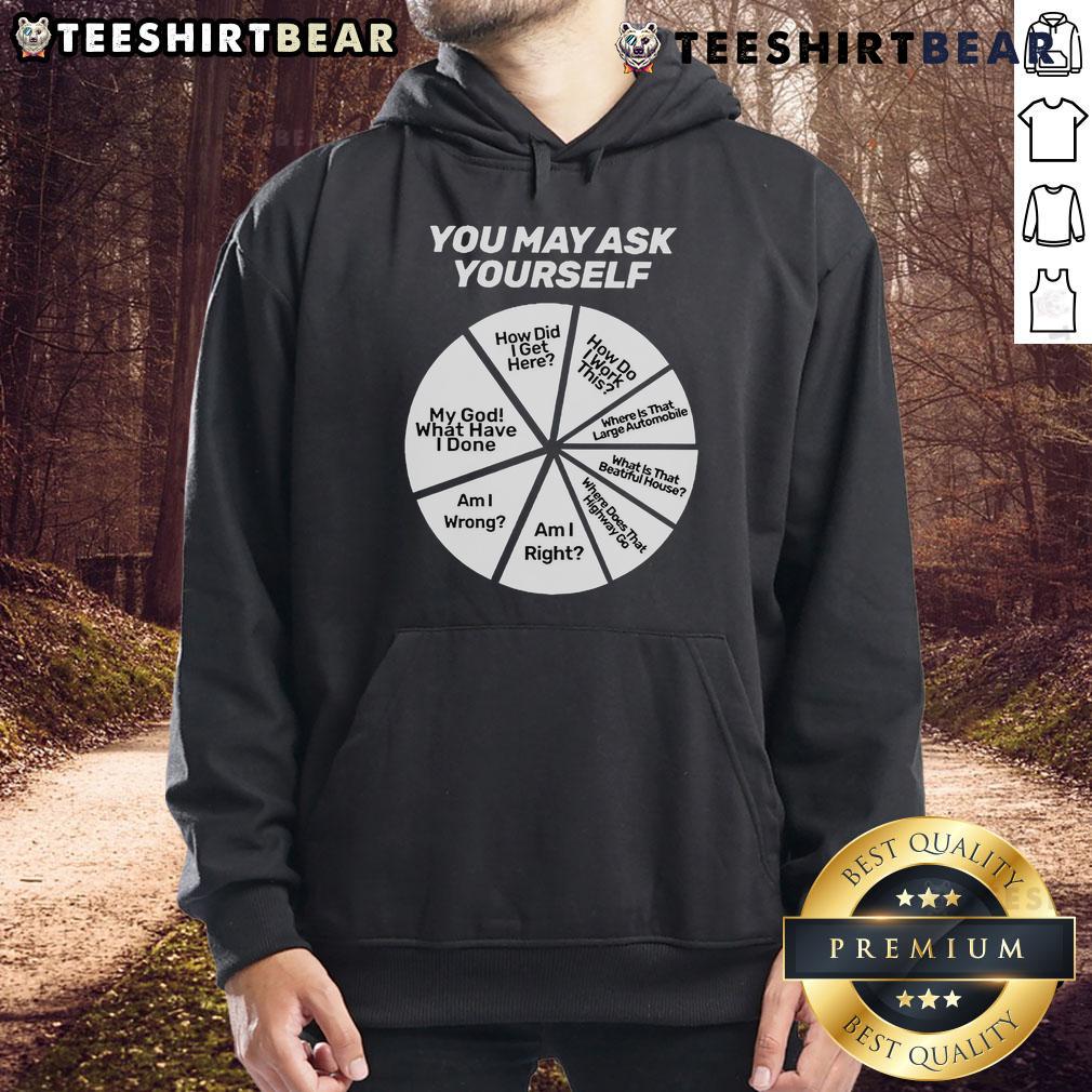 Trendy hoodie featuring a colorful pie chart design, perfect for casual wear and expressing your unique style. Top You May Ask Yourself.