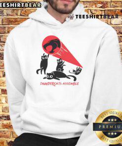 Awesome Thunder Cats Assemble Hoodie featuring vibrant graphics and a cozy design for fans of the classic animated series.