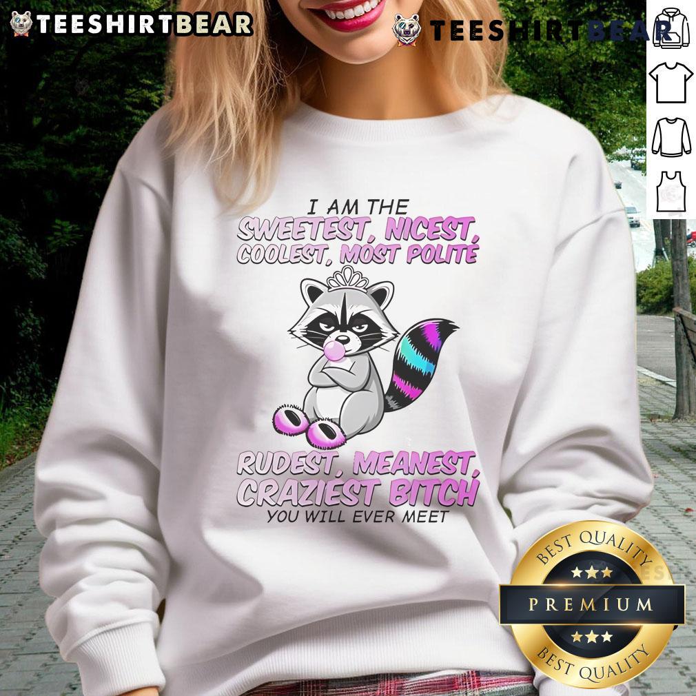 Cute raccoon wearing a 'I Am The Sweetest Nicest Coolest' sweatshirt, showcasing its adorable personality.