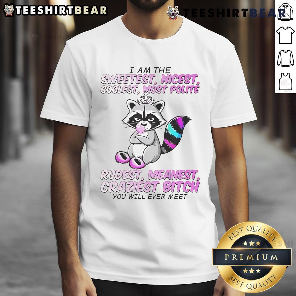 Cute raccoon wearing a I Am The Sweetest Nicest Coolest t-shirt, showcasing its adorable personality in a playful pose.