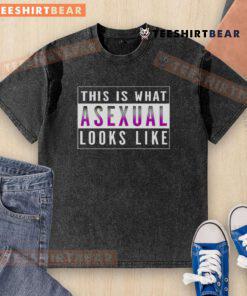Alt Text: Asexual pride washed t-shirt featuring a bold design, showcasing the asexual flag colors creatively.