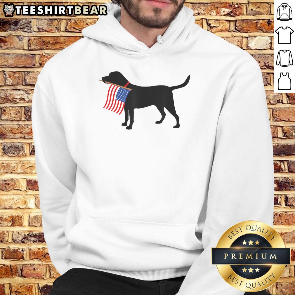 Patriotic dog wearing an American flag hoodie for Fourth of July, perfect for pet lovers celebrating USA.