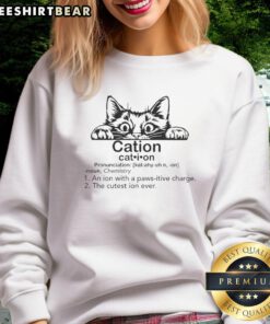 Funny cat sweatshirt featuring a cute cat with a pawsitive charge design, perfect for cat lovers and humor enthusiasts.