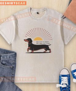 Alt Text: Happy Dachshund dog wearing a Make Room for Sunlight and Small Dogs' Dreams washed t-shirt, enjoying the sunshine.
