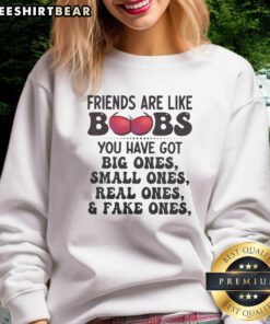 Good Friends Are Like Boobs sweatshirt featuring playful text, showcasing fun designs with big and small variations.