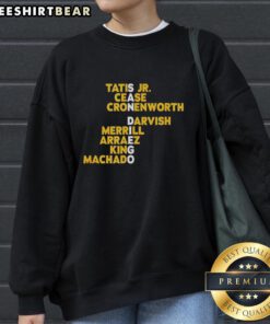 2025 San Diego baseball sweatshirt featuring top San Diego names, perfect for fans and sports enthusiasts.