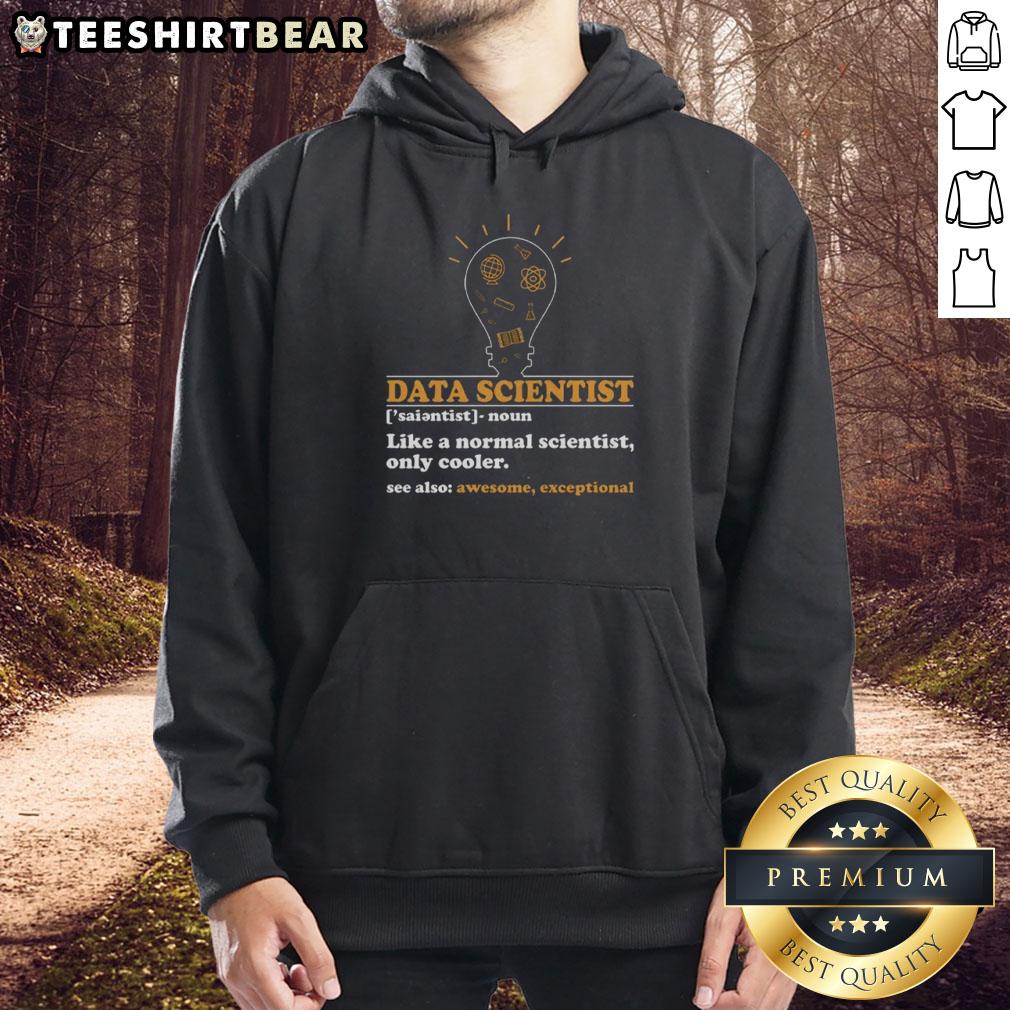 Funny Data Scientist Definition hoodie design showcasing computer science humor, perfect for tech enthusiasts and professionals.